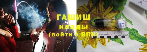 прущие грибы Приозерск
