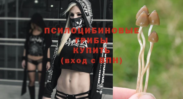 твердый Кизел