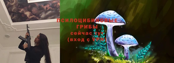крисы Пролетарск