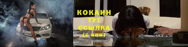 прущие грибы Приозерск