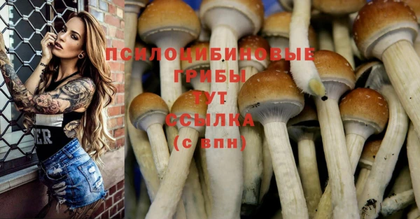 соль ск Протвино