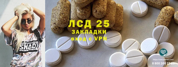 прущие грибы Приозерск