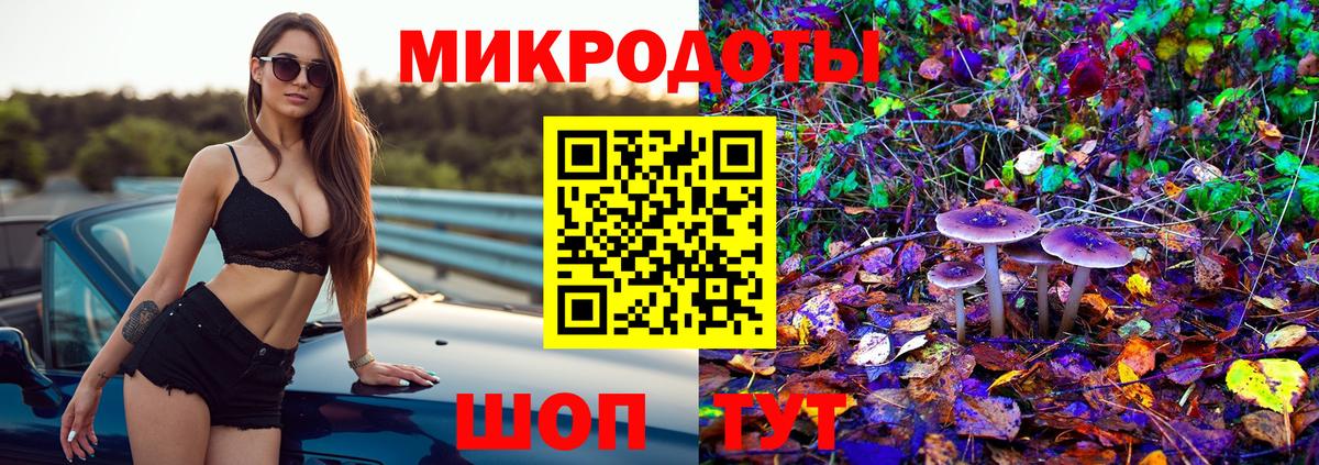 Псилоцибиновые грибы Cubensis Сланцы