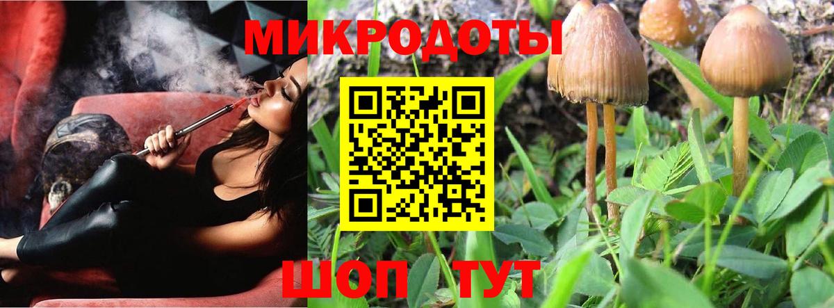 Псилоцибиновые грибы Psilocybe  Вход с VPN  Сланцы  Псилоцибиновые грибы Magic Shrooms 